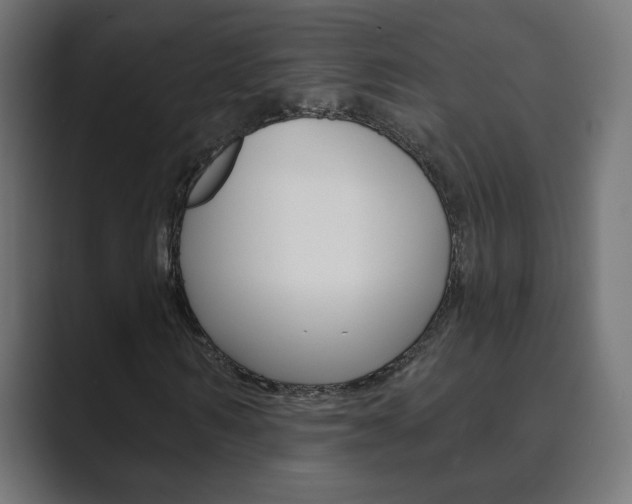 X0000089850962200706281017