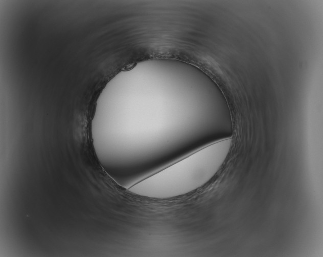 X0000089850964200706281017