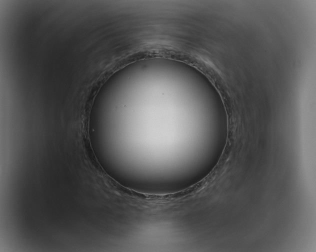 X0000089850965200706281017