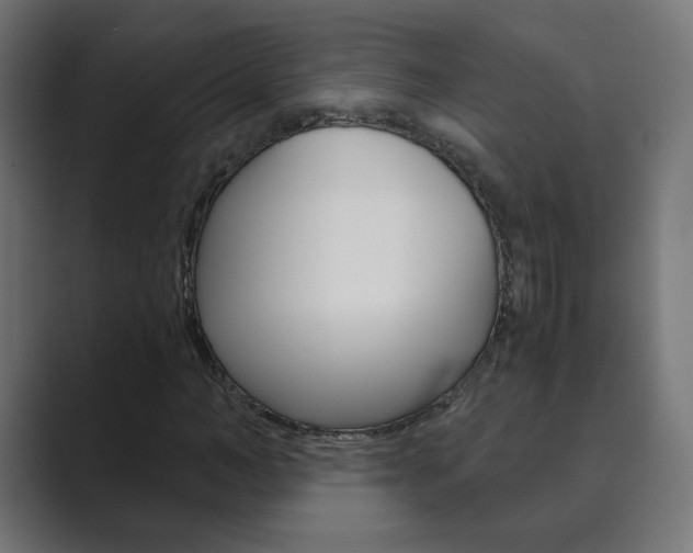 X0000089850966200706281017