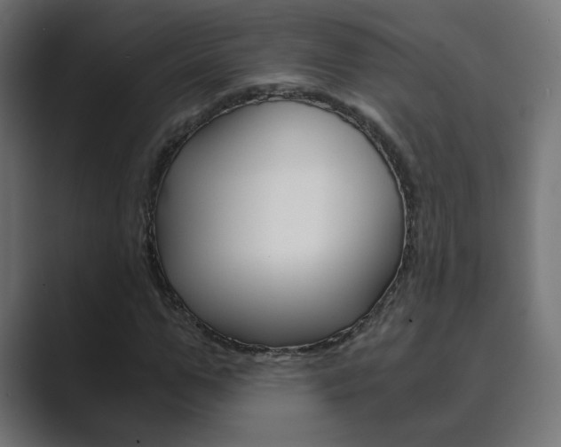 X0000089850967200706281017