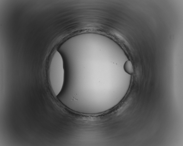 X0000089850970200706281017