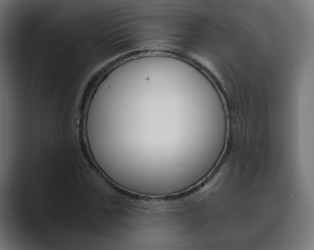 X0000089850971200706281017
