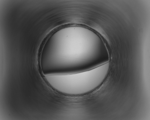 X0000089850972200706281017