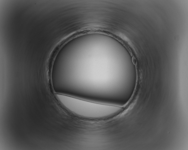 X0000089850973200706281017