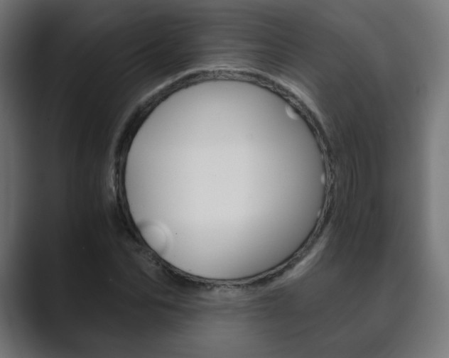 X0000089850974200706281017