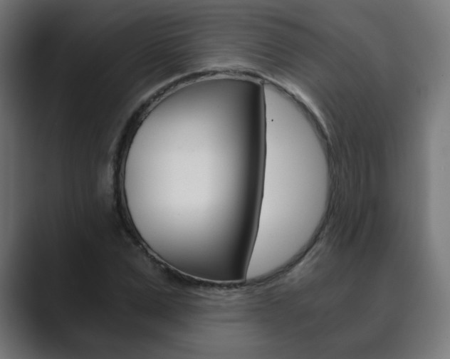 X0000089850975200706281017