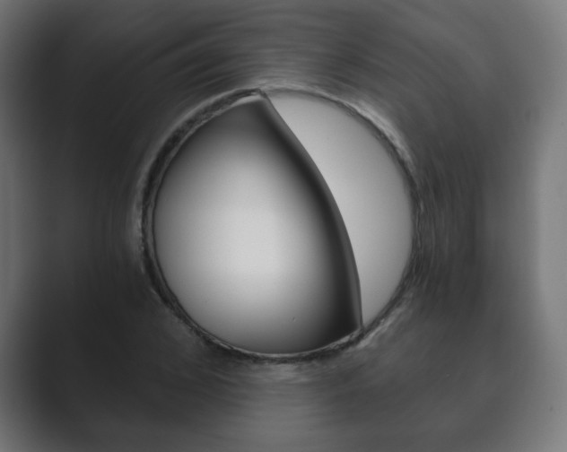 X0000089850976200706281017
