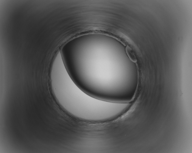 X0000089850977200706281017