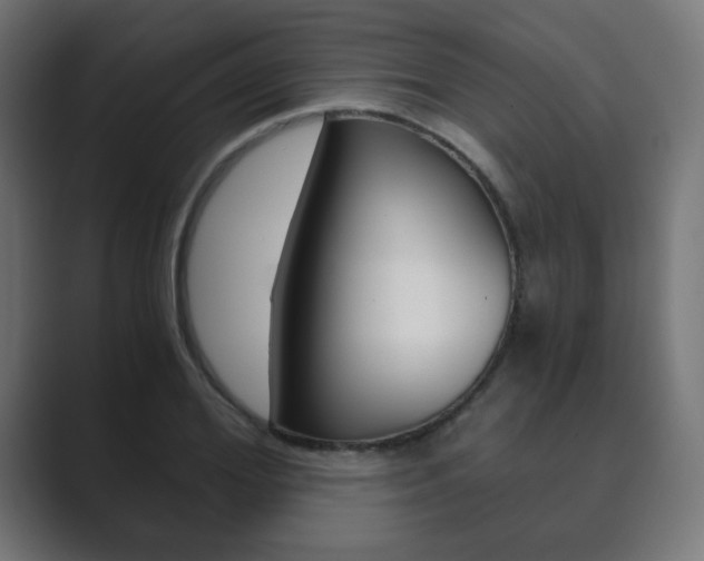 X0000089850980200706281017