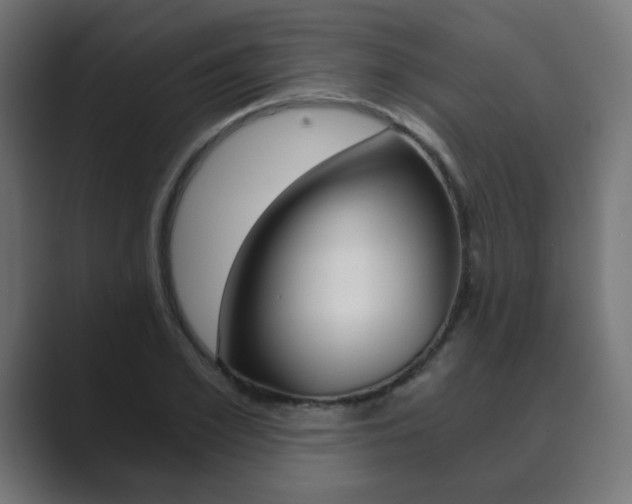 X0000089850981200706281017