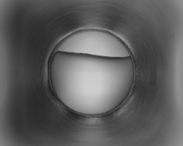 X0000089850982200706281017