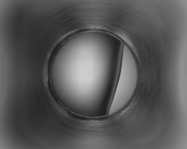 X0000089850984200706281017