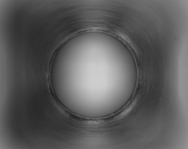 X0000089850985200706281017