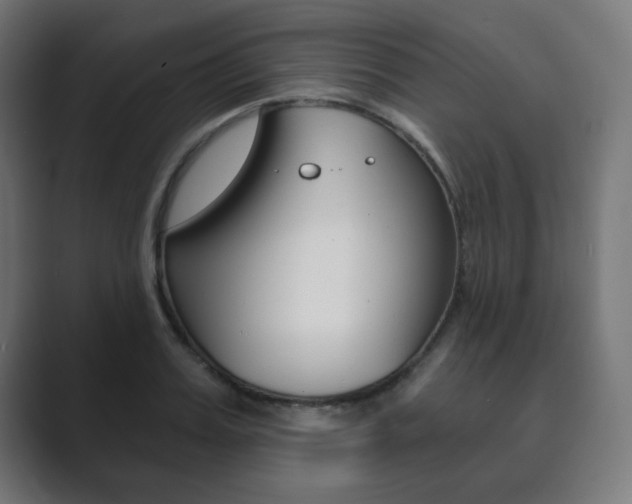 X0000089850987200706281017