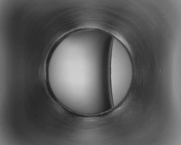 X0000089850988200706281017