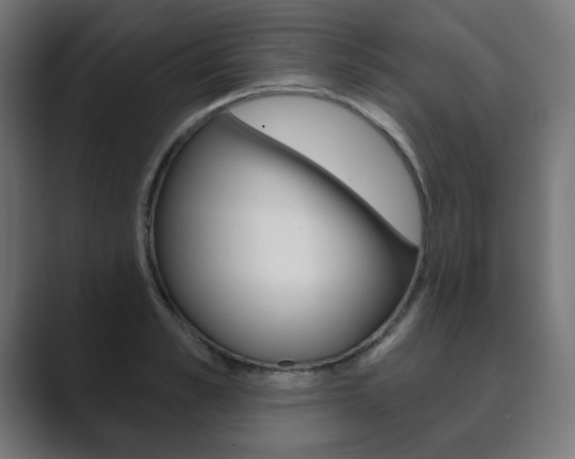 X0000089850989200706281017