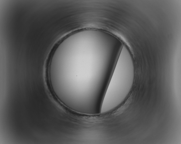 X0000089850991200706281017