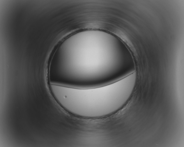 X0000089850992200706281017
