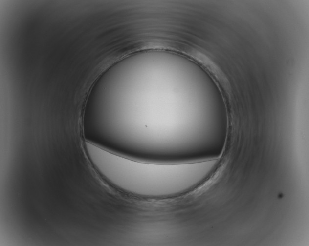 X0000089850993200706281017