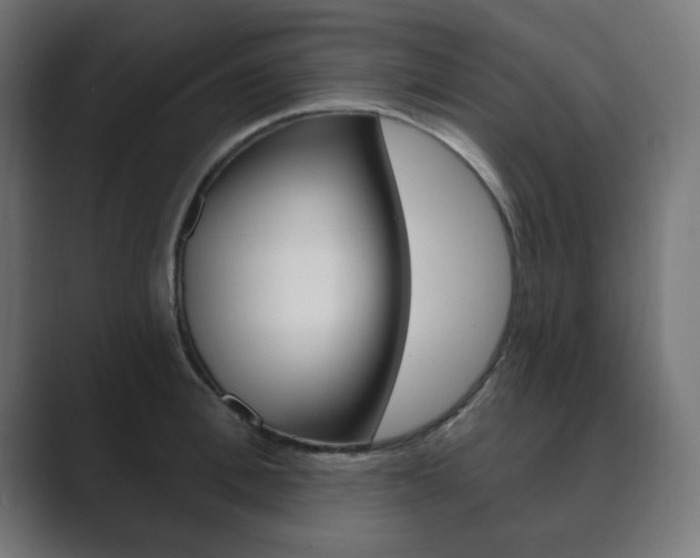 X0000089850996200706281017