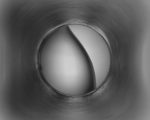 X0000089850997200706281017