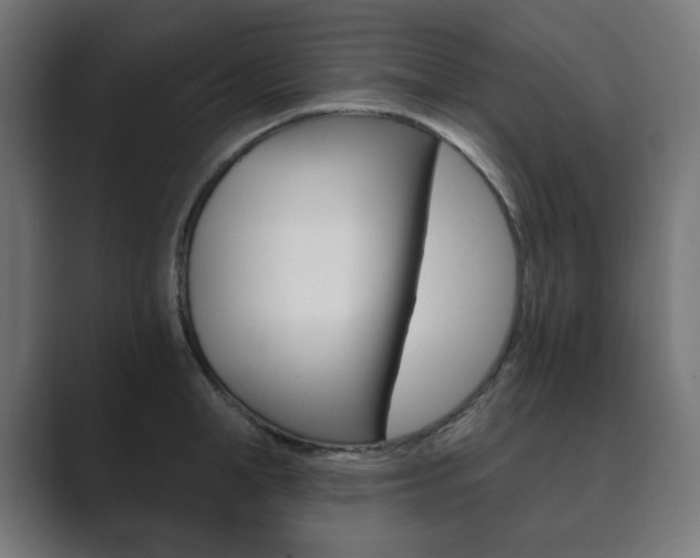 X0000089850998200706281017