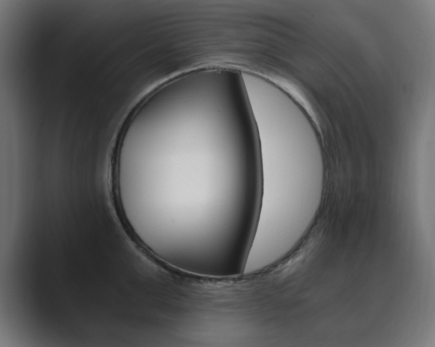 X0000089850999200706281017