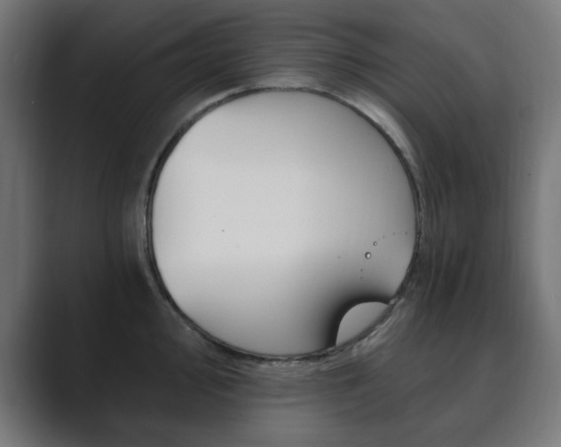 X0000089851000200706281017