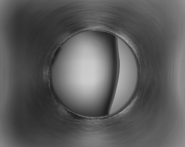 X0000089851001200706281017