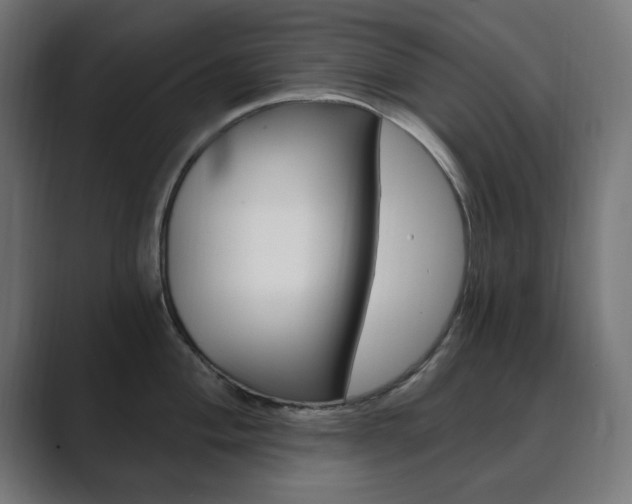 X0000089851004200706281017