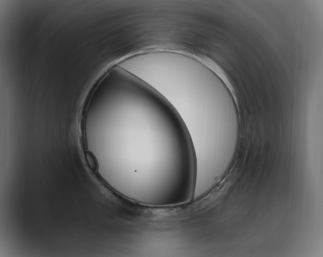 X0000089851005200706281017