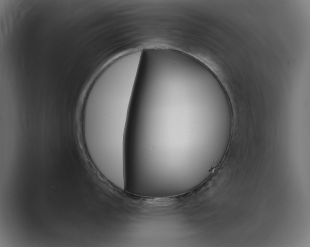 X0000089851008200706281017