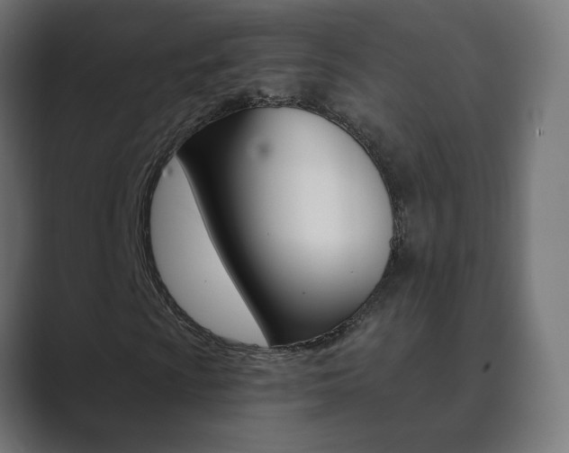 X0000089851009200706281016