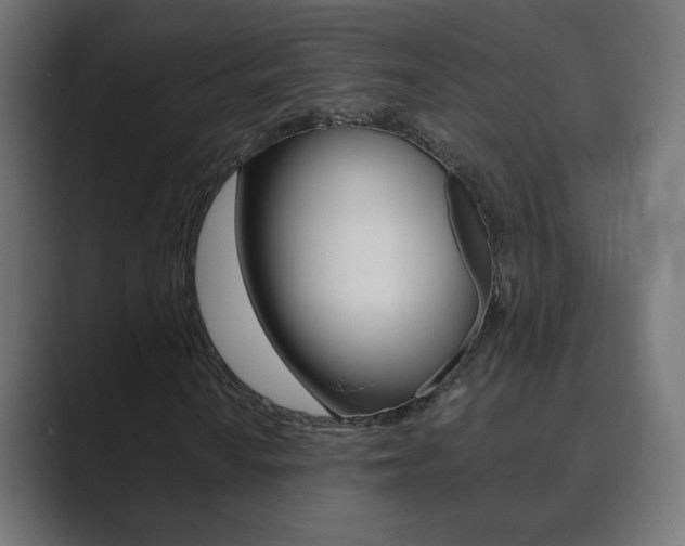 X0000089851010200706281016