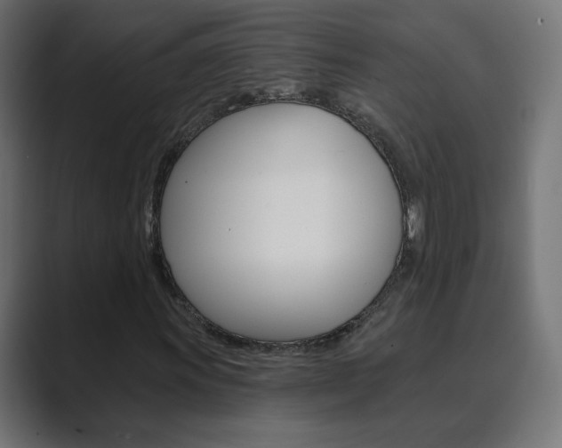 X0000089851011200706281016
