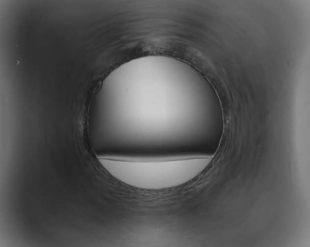 X0000089851012200706281016