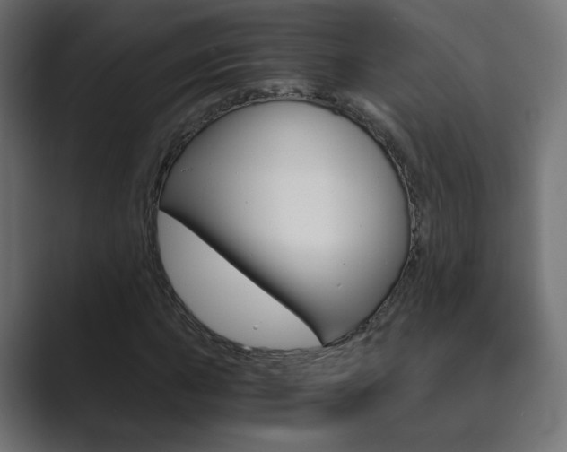 X0000089851015200706281016
