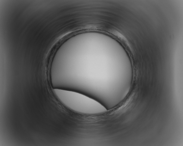 X0000089851019200706281016