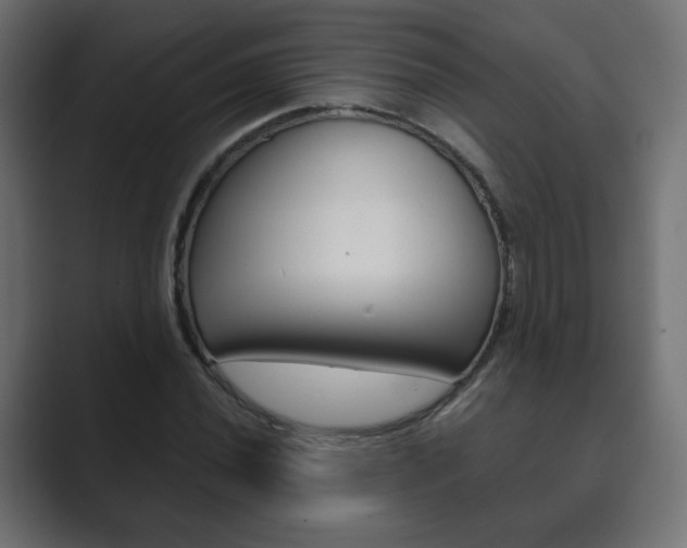 X0000089851020200706281016