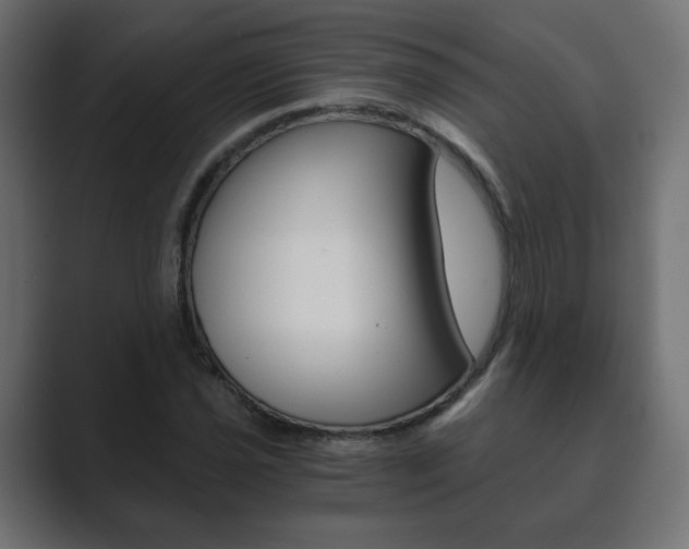X0000089851021200706281016