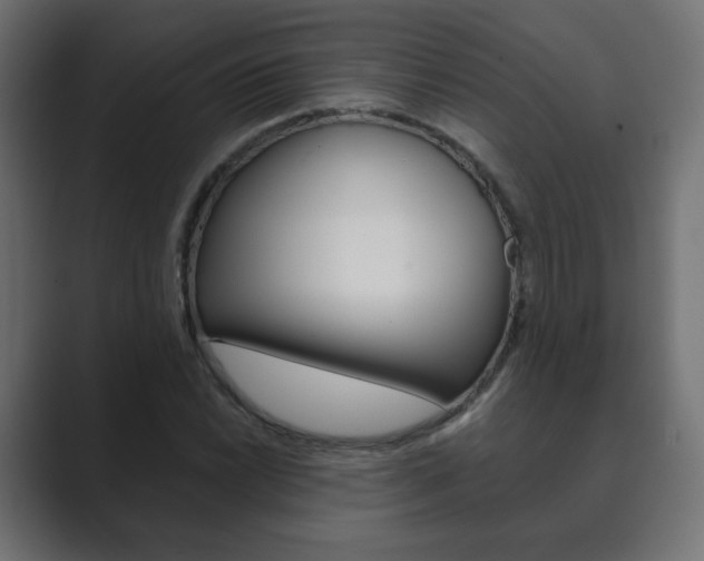X0000089851022200706281016