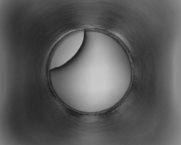 X0000089851023200706281016