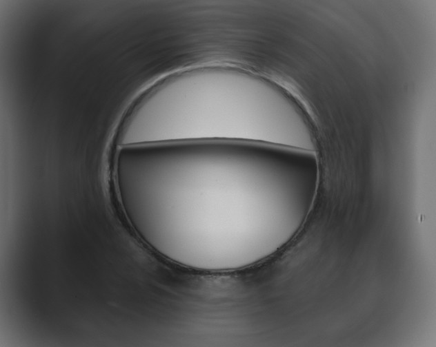 X0000089851024200706281016