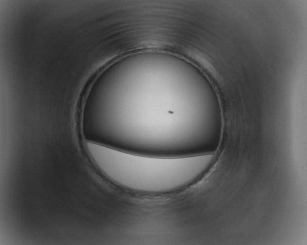 X0000089851026200706281016