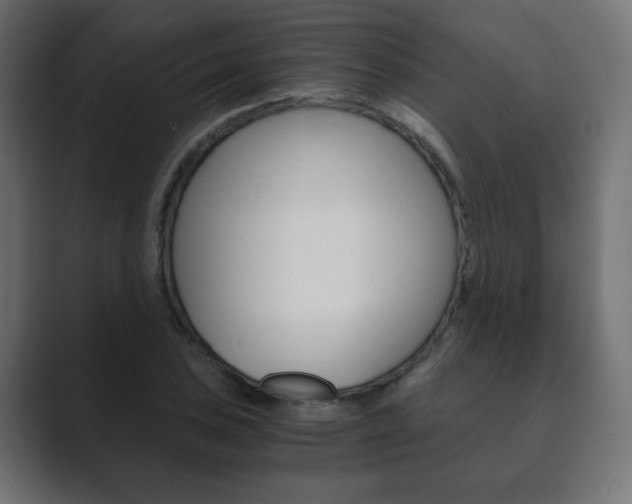 X0000089851027200706281016
