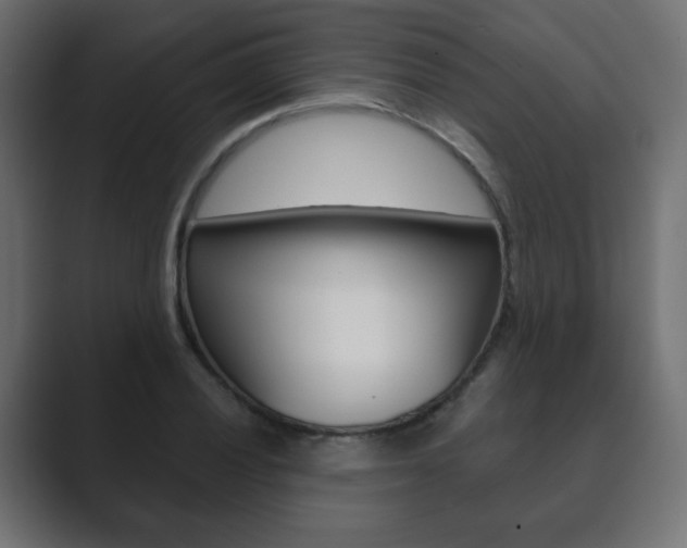 X0000089851028200706281016