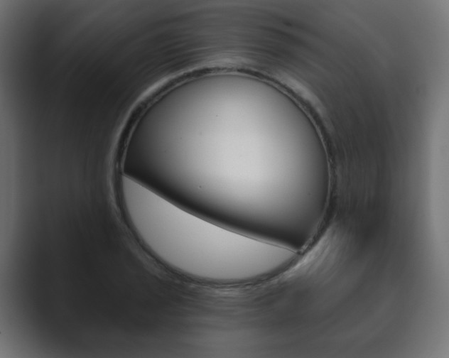 X0000089851029200706281016