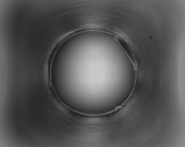 X0000089851030200706281016