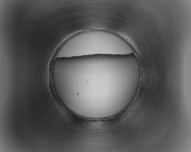 X0000089851031200706281016